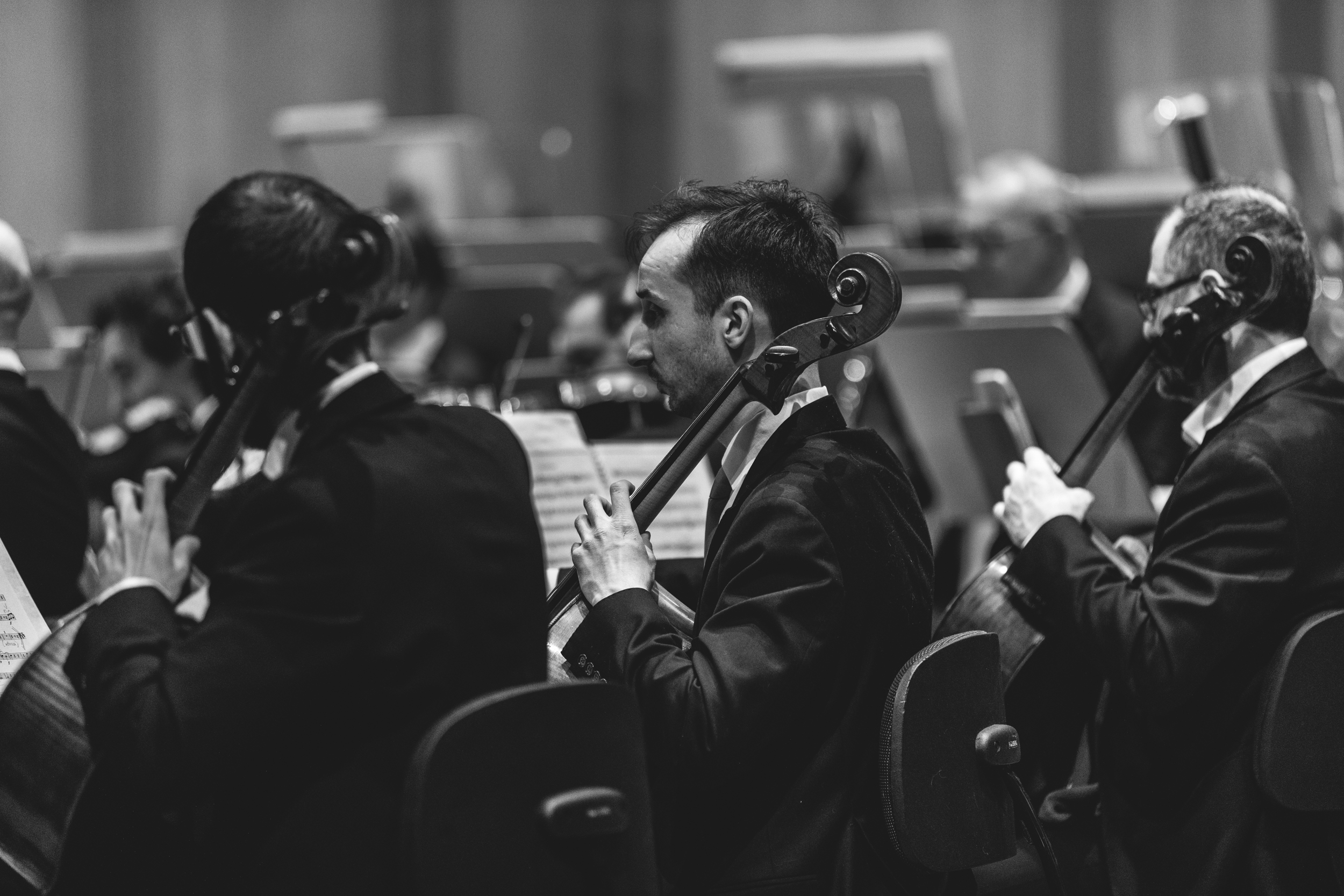 Bolzano — © Michele Purin / YumeVision